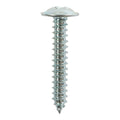 S/Tapping Screw PZ2 FLG - BZP - 8 x 3/8 | TIMpac of 16