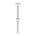 Carriage Bolt Exterior - SO - M6 x 100 | Bag of 10