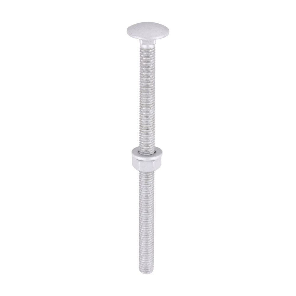 Carriage Bolt Exterior - SO - M6 x 100 | Bag of 10