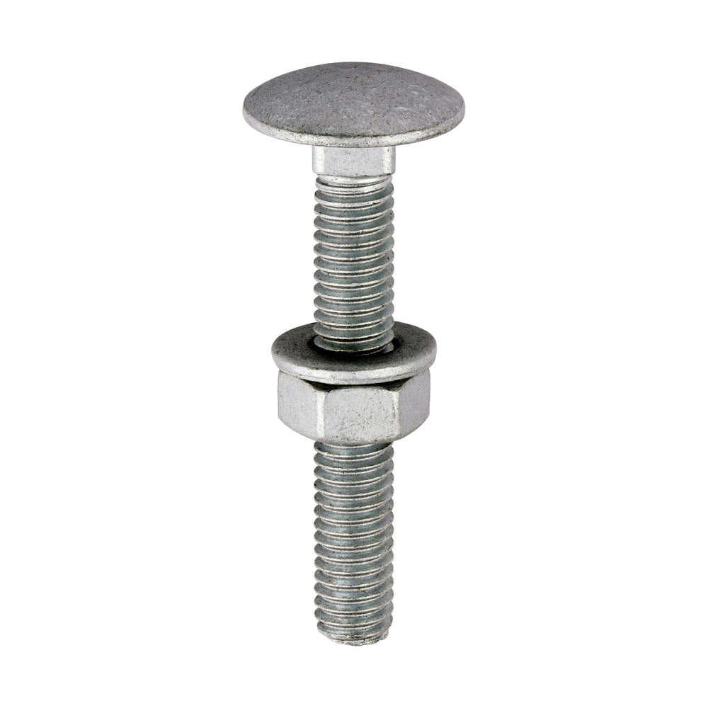 Carriage Bolt Exterior - SO - M6 x 40 | Bag of 10