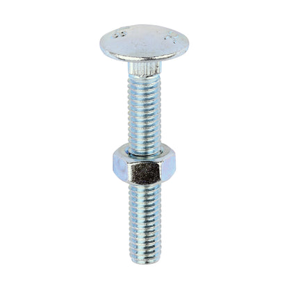 Carriage Bolt & Hex Nut - BZP - Box