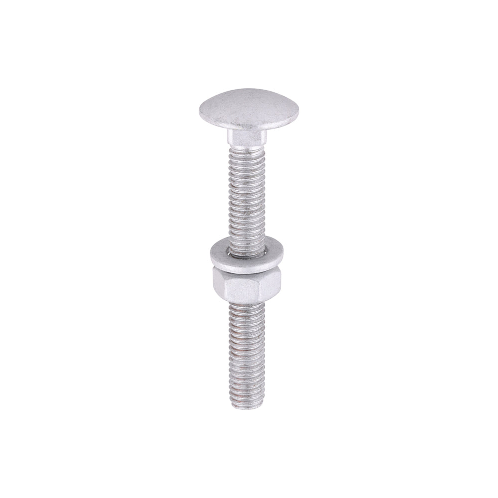 Carriage Bolt Exterior - SO - M6 x 50 | Bag of 10