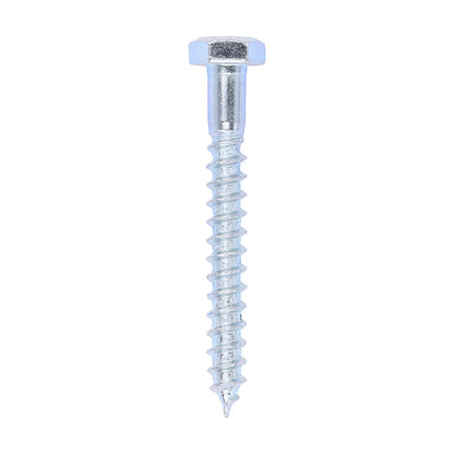 Coach Screws - Hex - Zinc - Box