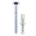 Coach Screw & Nylon Plugs - 6.0 x 60 | TIMbag of 40
