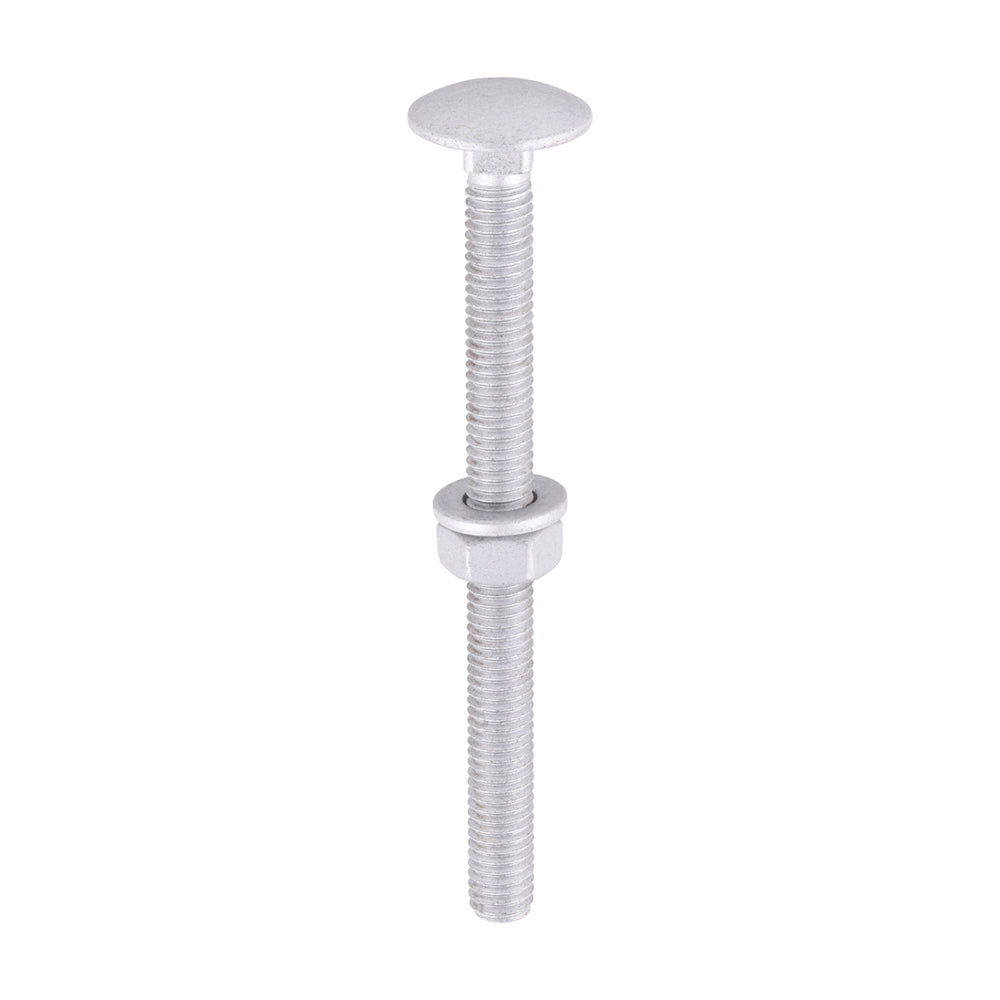 Carriage Bolt Exterior - SO - M6 x 75 | Bag of 10