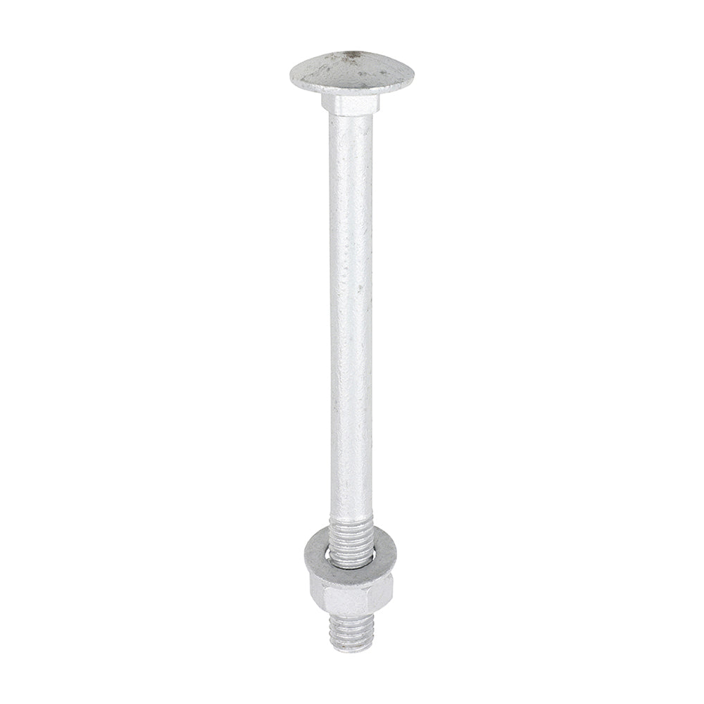 Carriage Bolt Exterior - SO - M8 x 100 | Bag of 10