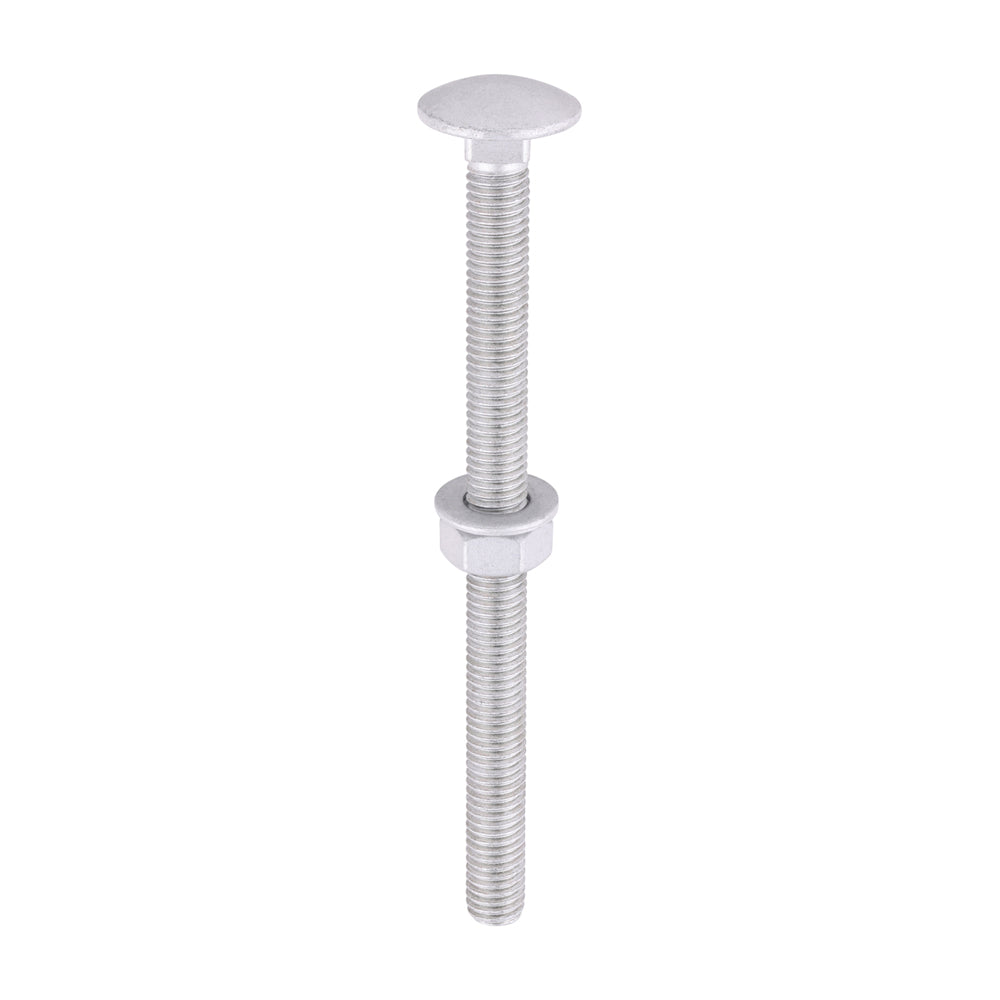 Carriage Bolt Exterior - SO - M8 x 110 | Bag of 10