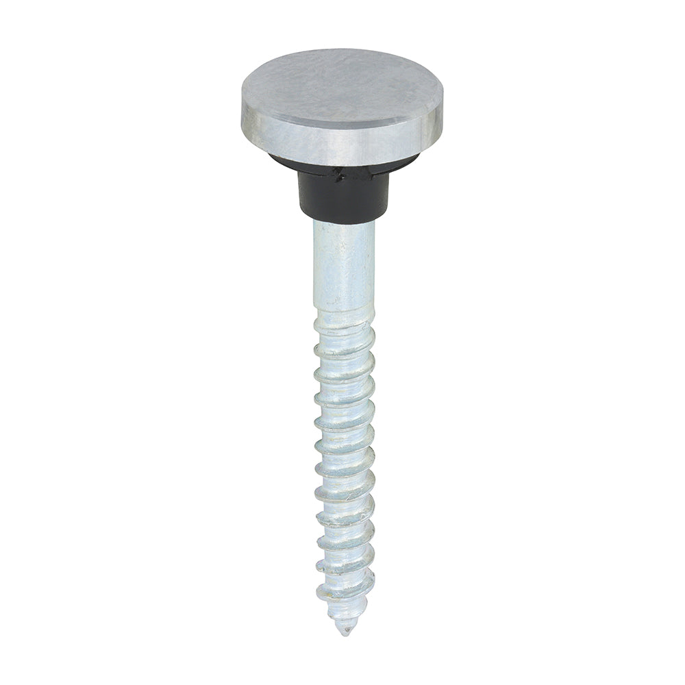 Mirror Screw Flat - Chrome - 8 x 1 1/2 | TIMpac of 8