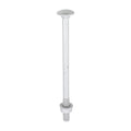 Carriage Bolt Exterior - SO - M8 x 130 | Bag of 10
