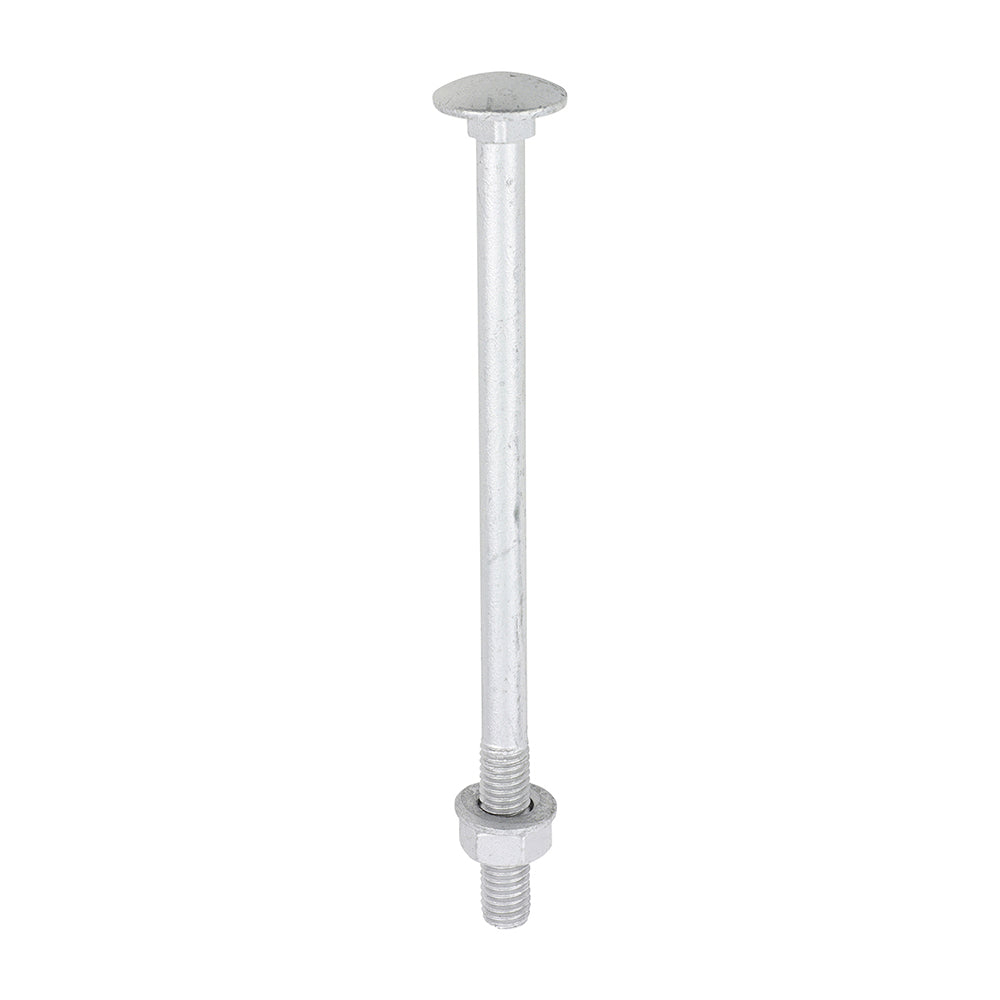 Carriage Bolt Exterior - SO - M8 x 130 | Bag of 10