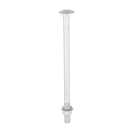 Carriage Bolt Exterior - SO - M8 x 150 | Bag of 10
