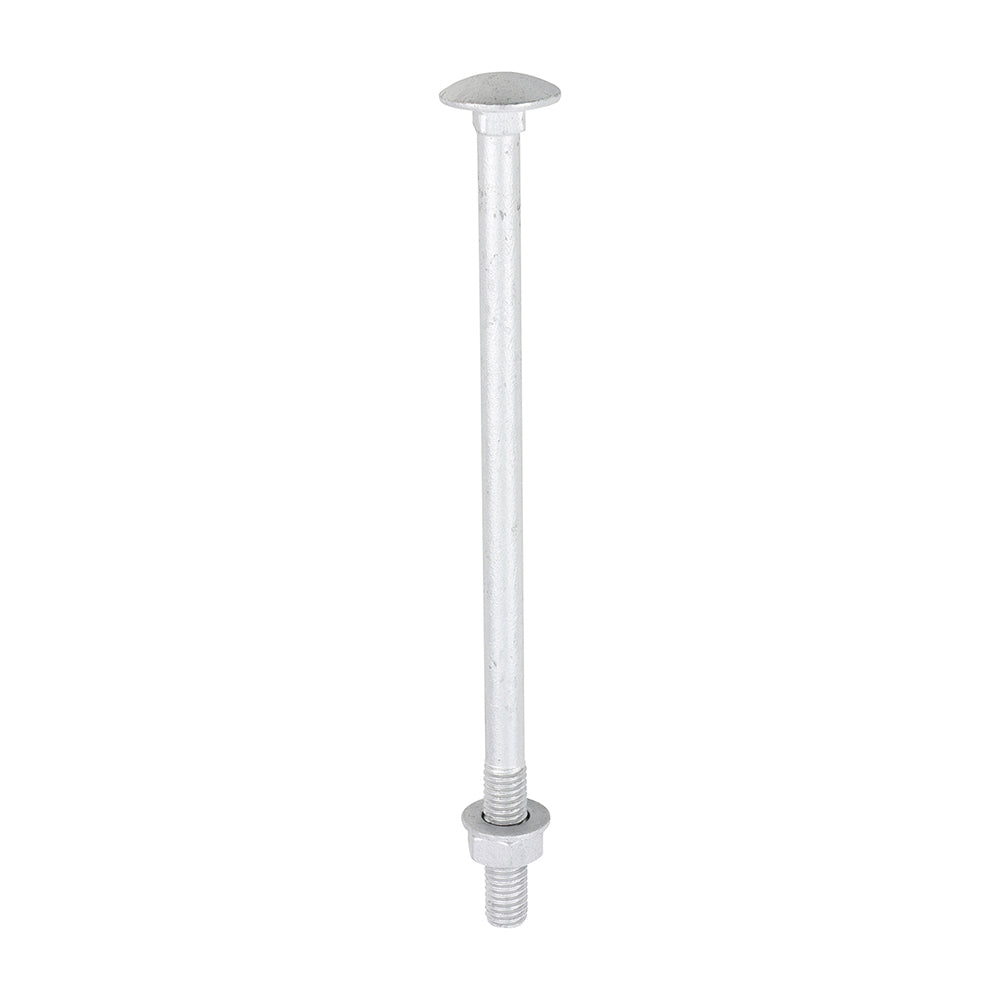 Carriage Bolt Exterior - SO - M8 x 150 | Bag of 10
