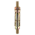 Shield Anchor Proj. Bolt - ZYP - M8:25P (M8 x 85) | TIMpac of 4