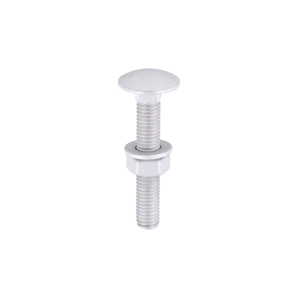 Carriage Bolt Exterior - SO - M8 x 50 | Bag of 10