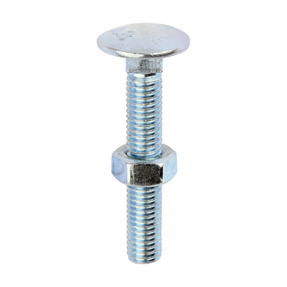 Carriage Bolt & Hex Nut - BZP - Box