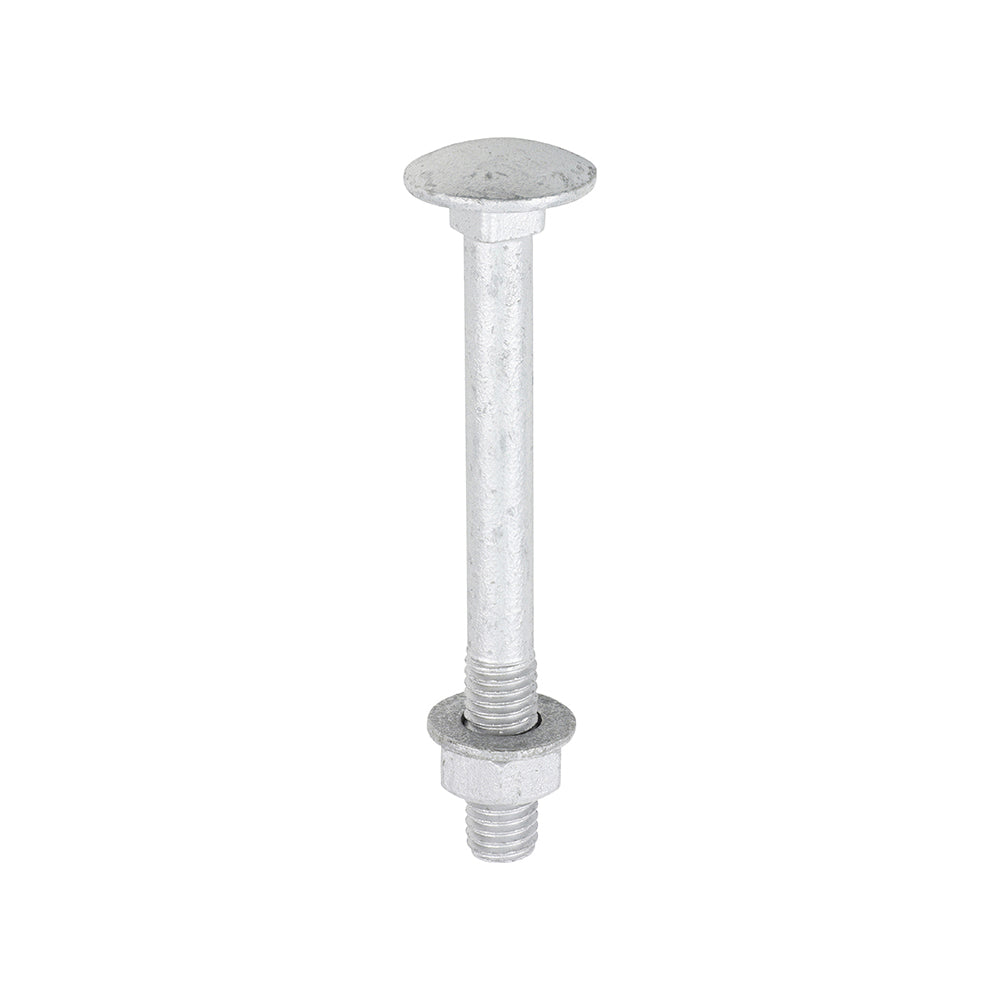 Carriage Bolt Exterior - SO - M8 x 75 | Bag of 10