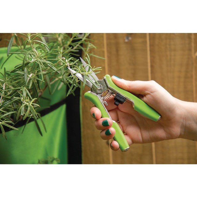 Draper Bypass Pruning Shear Set, 150mm (2 Piece) Draper Tools