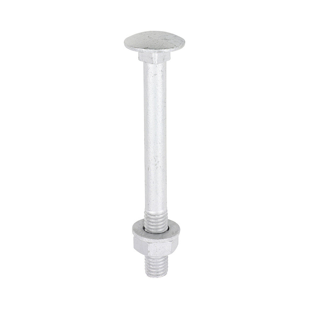 Carriage Bolt Exterior - SO - M10 x 100 | Bag of 10