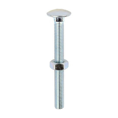 Carriage Bolt & Hex Nut - BZP - Box