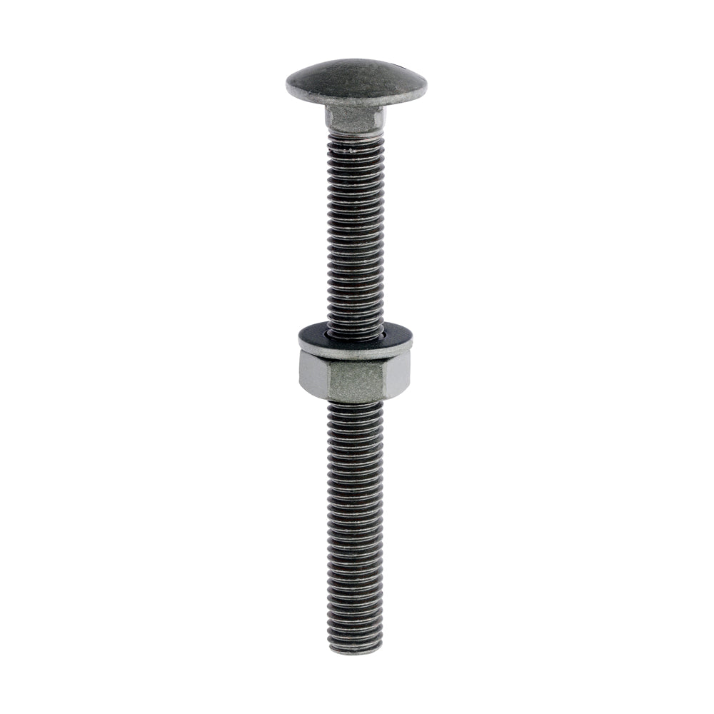 Carriage Bolt,Nut & Washer-GRN - M10 x 100 | Bag of 10