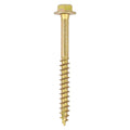 Solo Coach Screw ZYP - 10.0 x 100 | TIMpac of 2