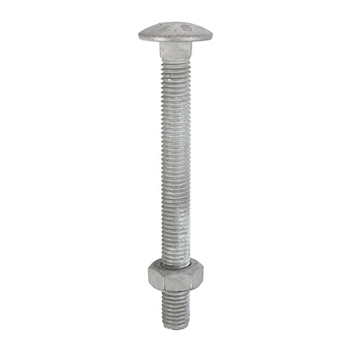 Carriage Bolt & Hex Nut - HDG - M10 x 110 | Box of 25