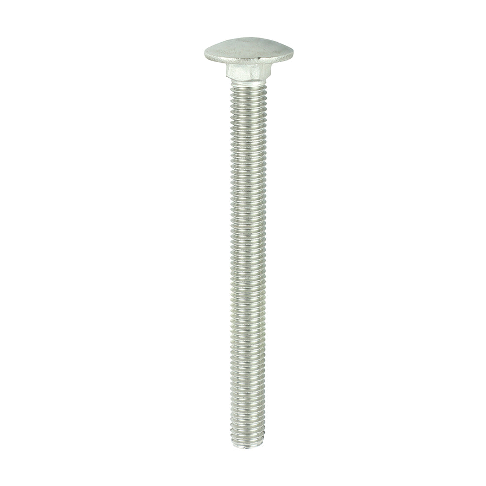Carriage Bolt DIN 603 A2 SS - M10 x 110 | Bag of 5