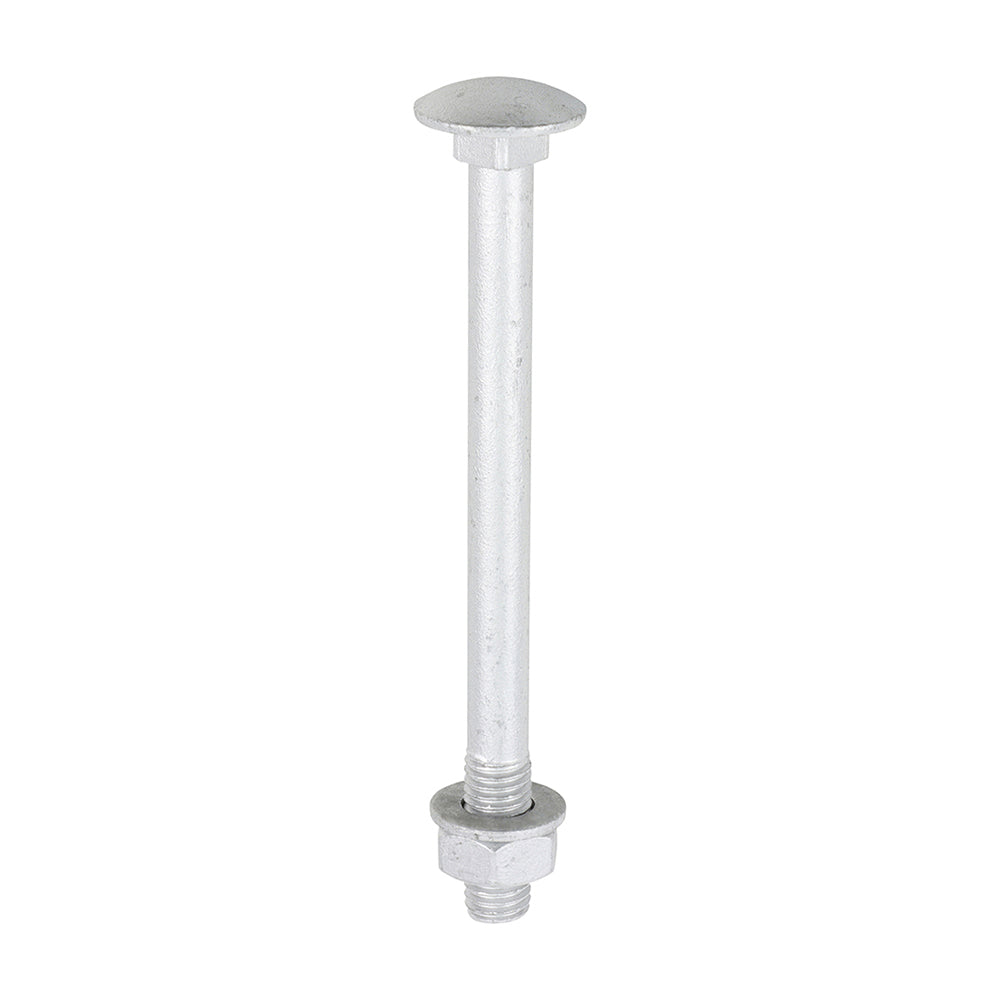 Carriage Bolt Exterior - SO - M10 x 120 | Bag of 10