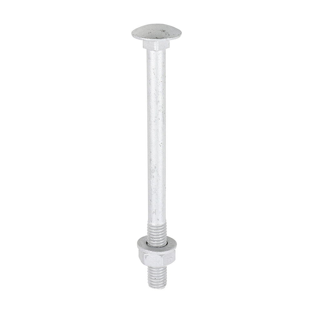 Carriage Bolt Exterior - SO - M10 x 130 | Bag of 10