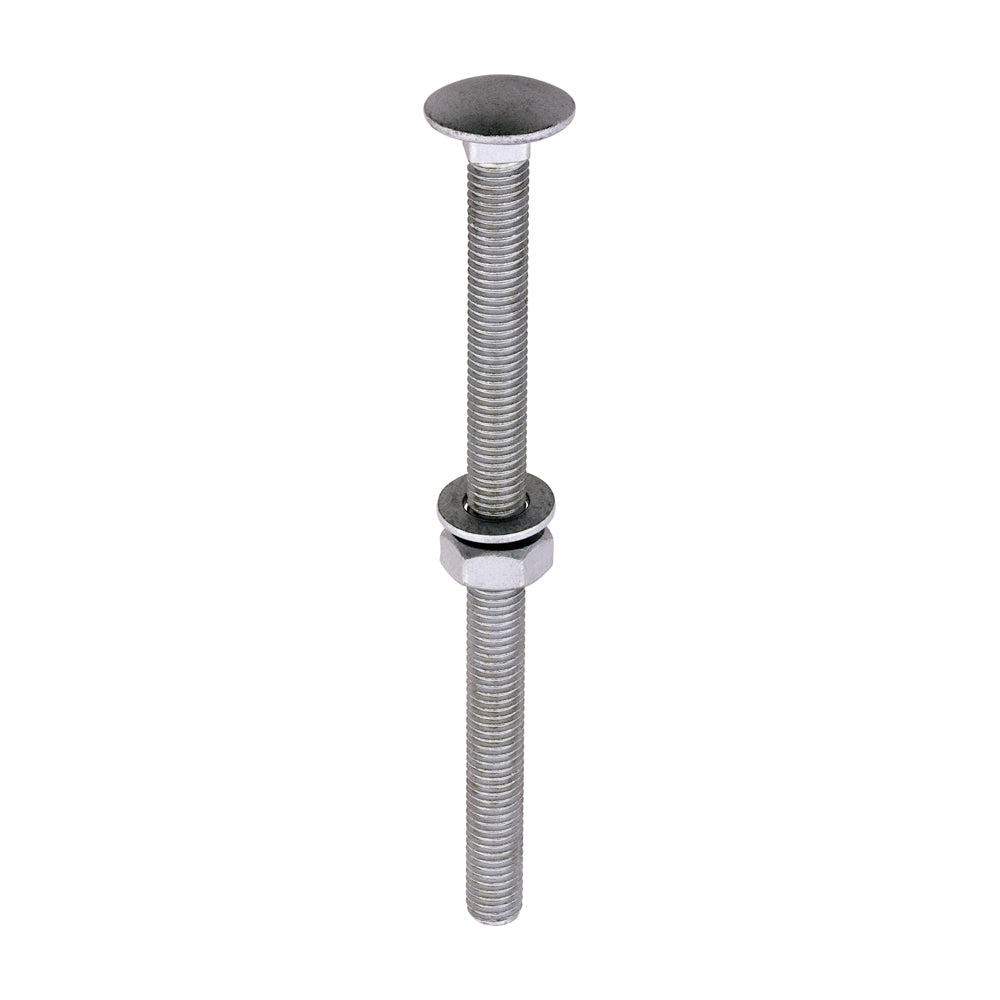 Carriage Bolt Exterior - SO - M10 x 150 | Bag of 10