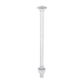 Carriage Bolt Exterior - SO - M10 x 180 | Bag of 10