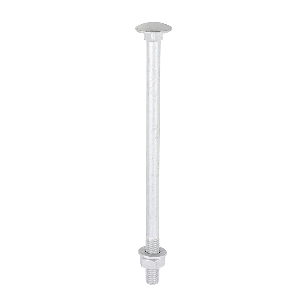 Carriage Bolt Exterior - SO - M10 x 180 | Bag of 10