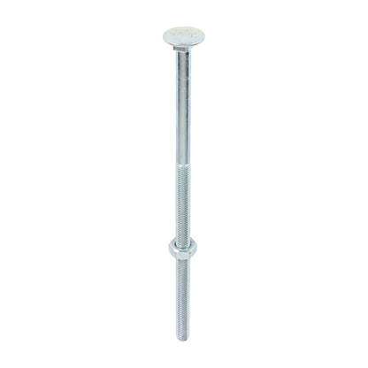 Carriage Bolt & Hex Nut - BZP - Box