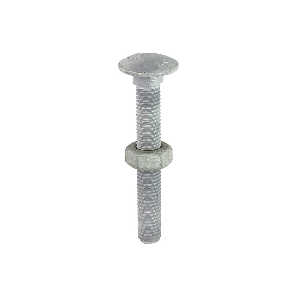 Carriage Bolt & Hex Nut - HDG - M10 x 75 | Box of 50