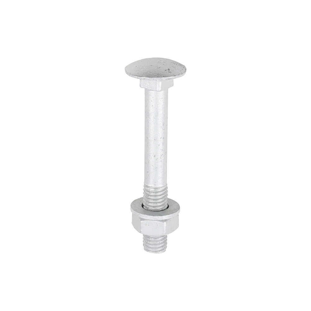 Carriage Bolt Exterior - SO - M10 x 75 | Bag of 10