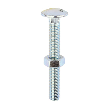 Carriage Bolt & Hex Nut - BZP - Box