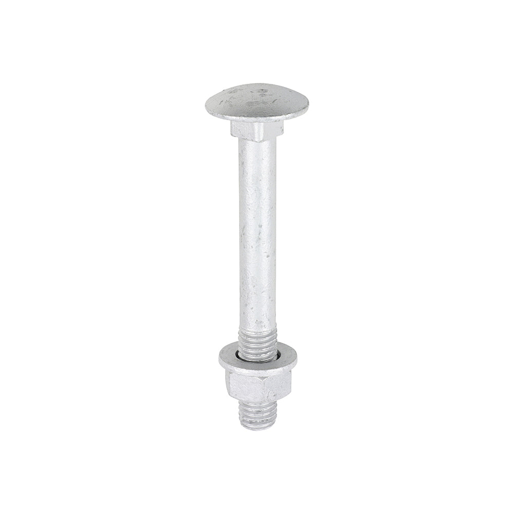 Carriage Bolt Exterior - SO - M12 x 100 | Bag of 10