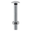 Carriage Bolt & Hex Nut -A2 SS - M12 x 100 | TIMpac of 2