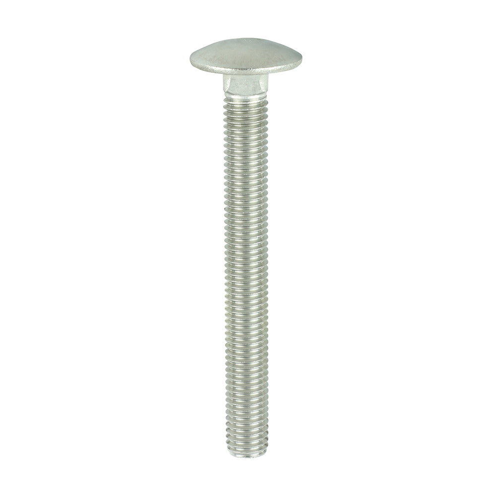 Carriage Bolt DIN 603 - A2 SS - M12 x 100 | Box of 50