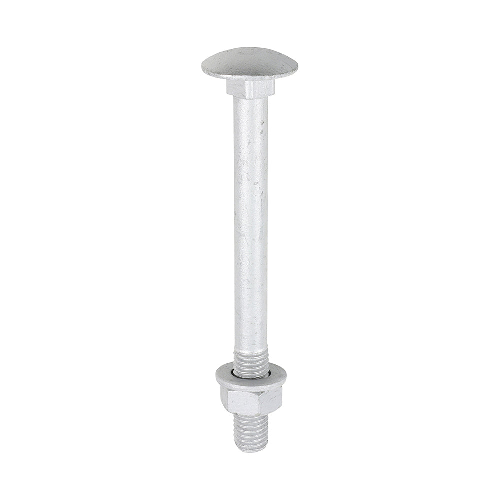Carriage Bolt Exterior - SO - M12 x 130 | Bag of 10