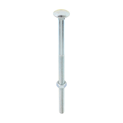 Carriage Bolt & Hex Nut - BZP - Box