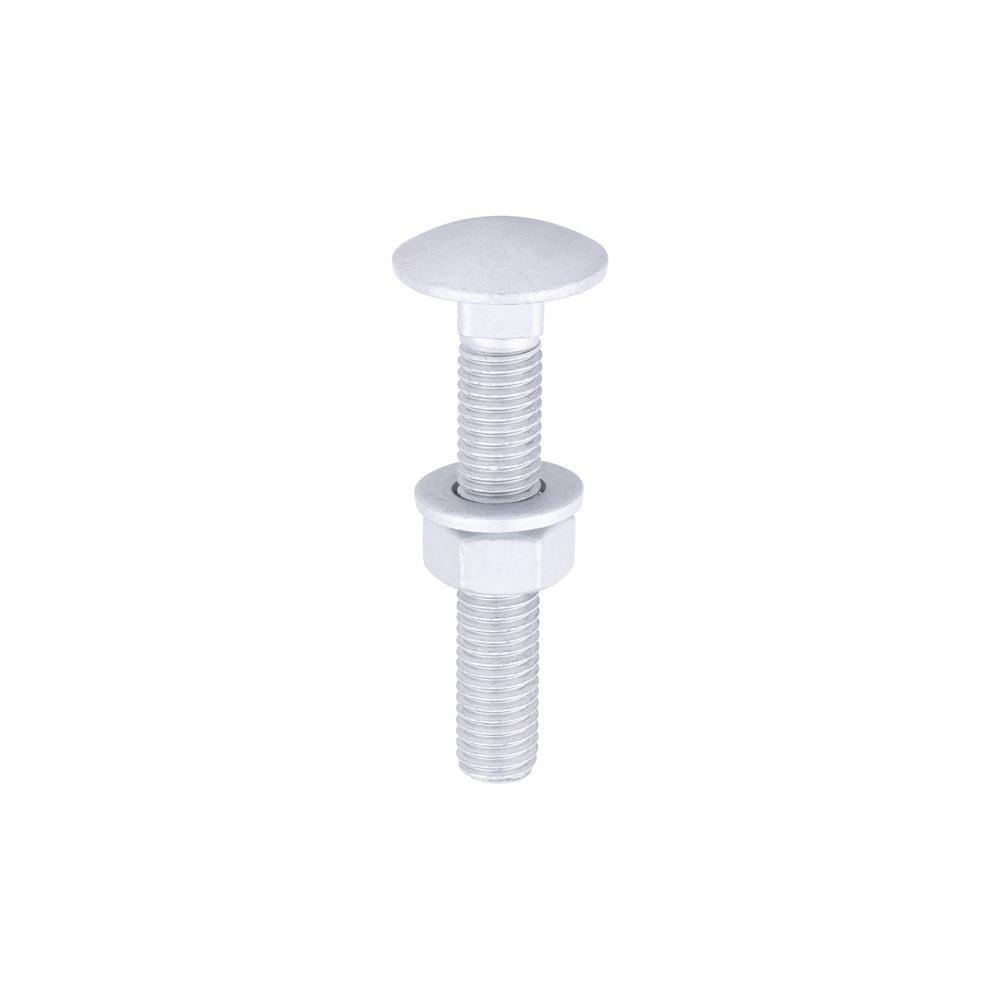 Carriage Bolt Exterior - SO - M12 x 75 | Bag of 10