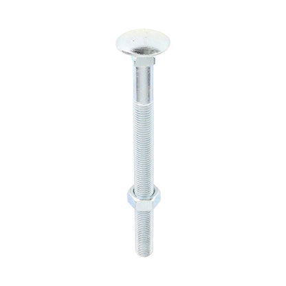 Carriage Bolt & Hex Nut - BZP - Box