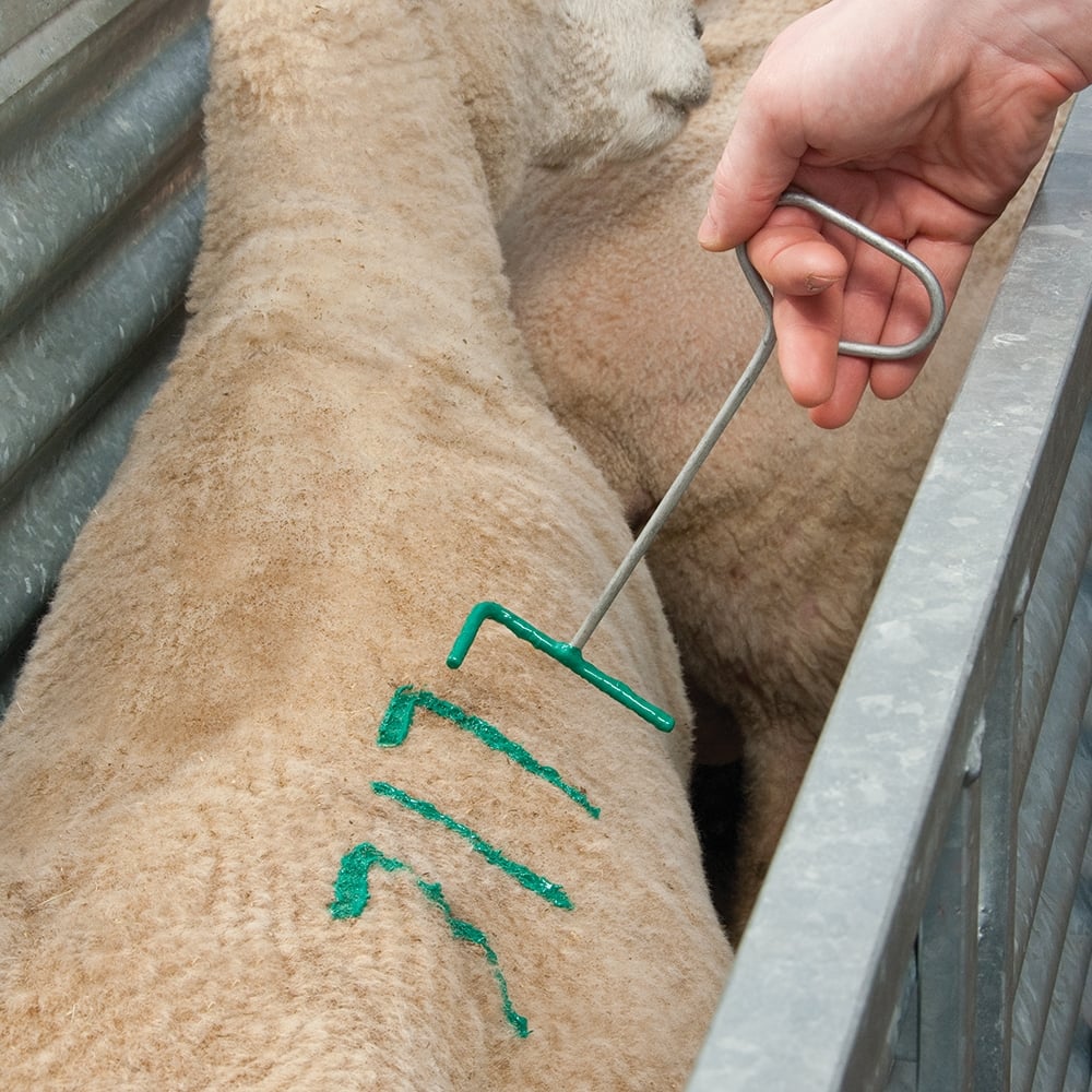 SI-RO Mark Sheep Branding Fluid - Black - 5 Litres