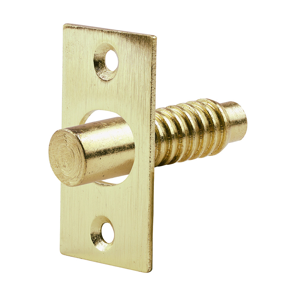 Hinge Bolts Electro Brass - 48mm | TIMpac of 2