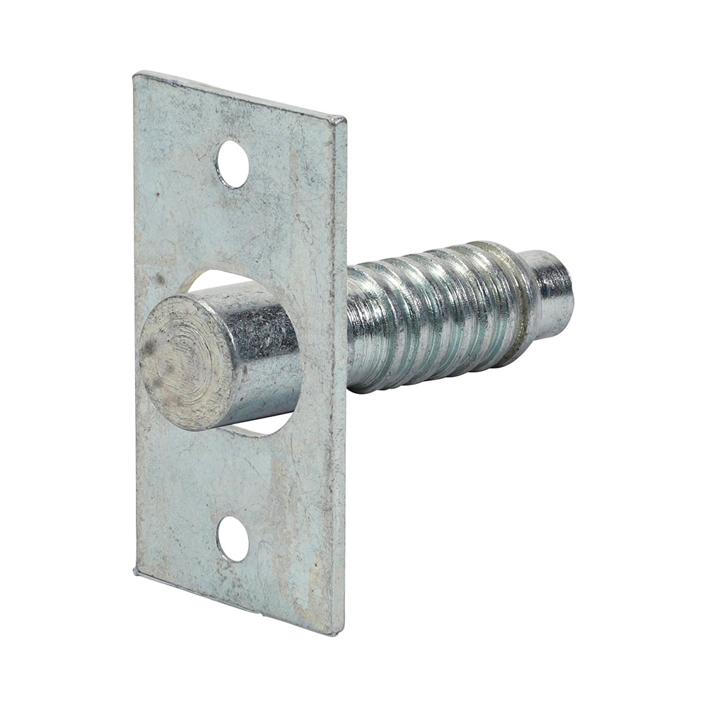 Hinge Bolts Zinc - 48mm | TIMpac of 2