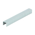Staples HD Chisel - Galv Bulk - 10mm | Box of 5000