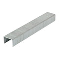 Staples LD Chisel GALV - 8mm | Box of 1000