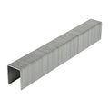 Staples HD Chisel GALV - 14mm | Box of 1000