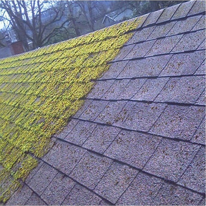 Everbuild Patio Wizard Concerntrated 5L Everbuild